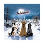 SANTA PAWS IS COMING CHRISTMAS CARD