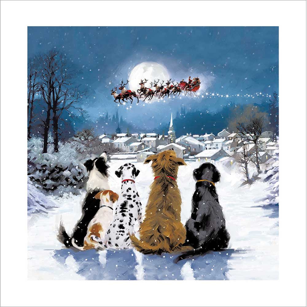 626289 SANTA PAWS IS COMING CHRISTMAS CARD - Image 1