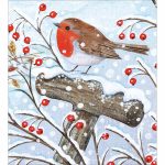 RED ROBIN CHRISTMAS CARD