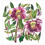 HELLEBORE CHRISTMAS CARD