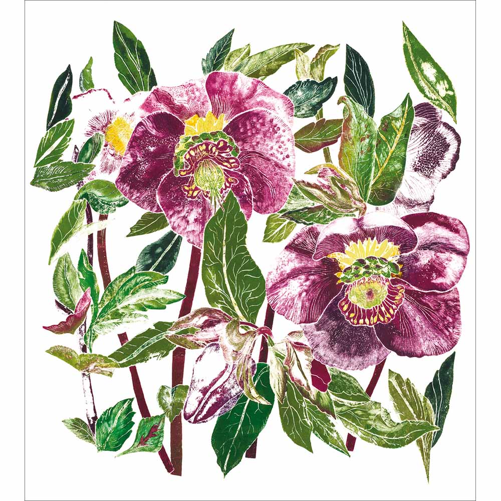 626968 HELLEBORE CHRISTMAS CARD - Image 1