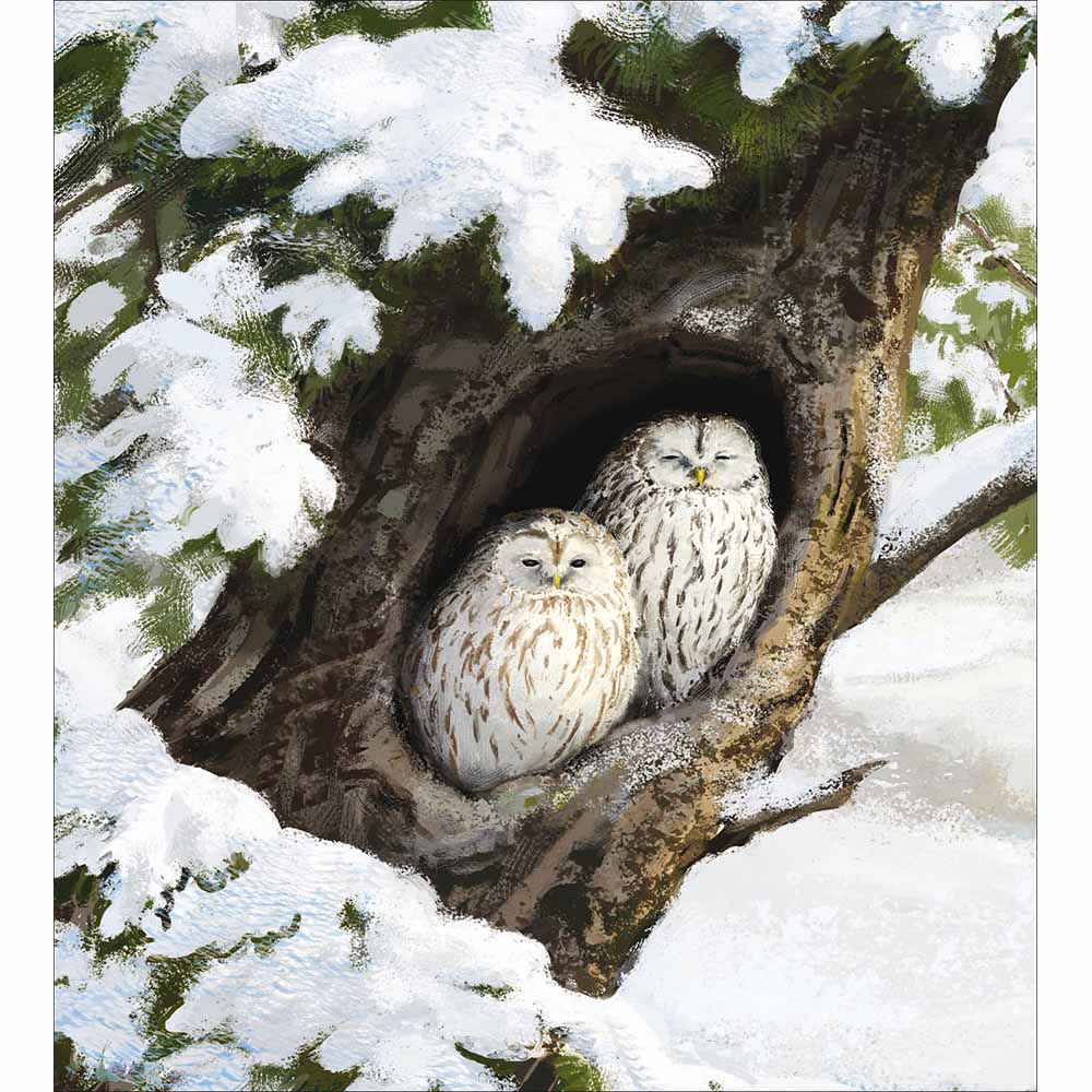 627118 SNOWY OWLS CHRISTMAS CARD - Image 1