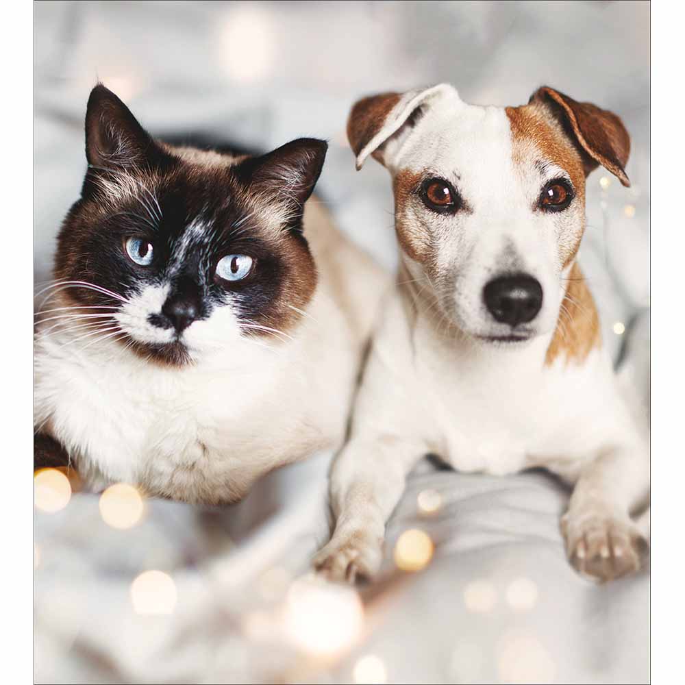 627408 FESTIVE FURRY FRIENDS CHRISTMAS CARD - Image 1