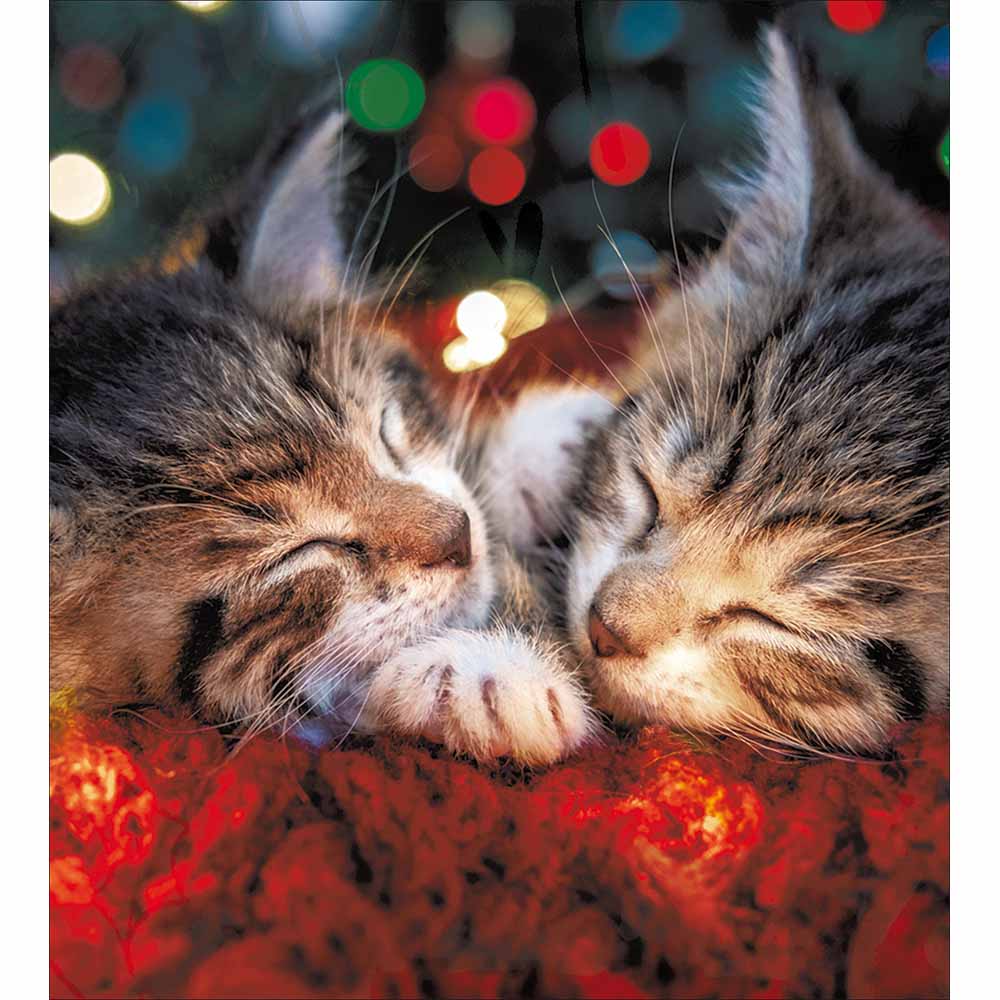 627415 CUDDLY KITTENS CHRISTMAS CARD - Image 1
