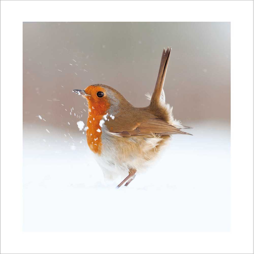627507 SNOW BIRD CHRISTMAS CARD - Image 1