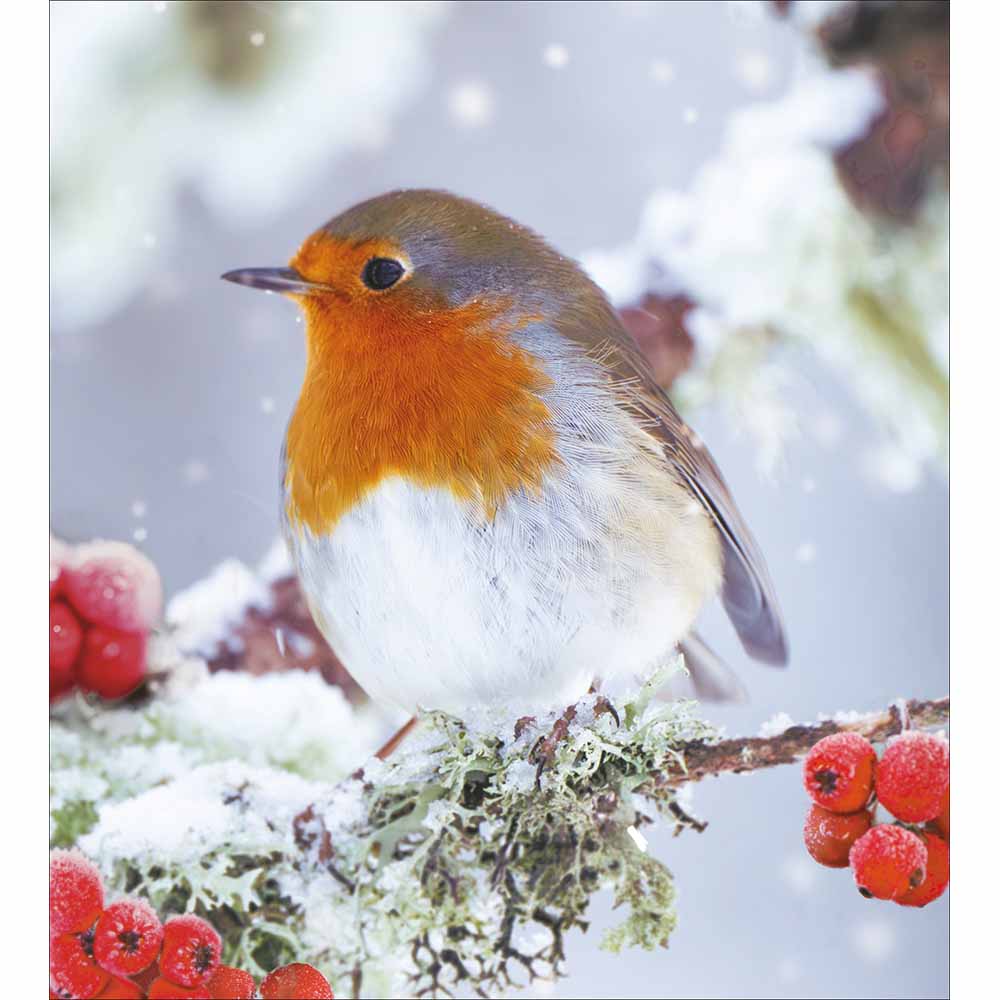 627767 A SIGN FROM A LOVED ONE CHRISTMAS CARD - Image 1