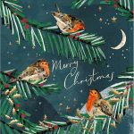 LITTLE ROBIN CHRISTMAS CARD