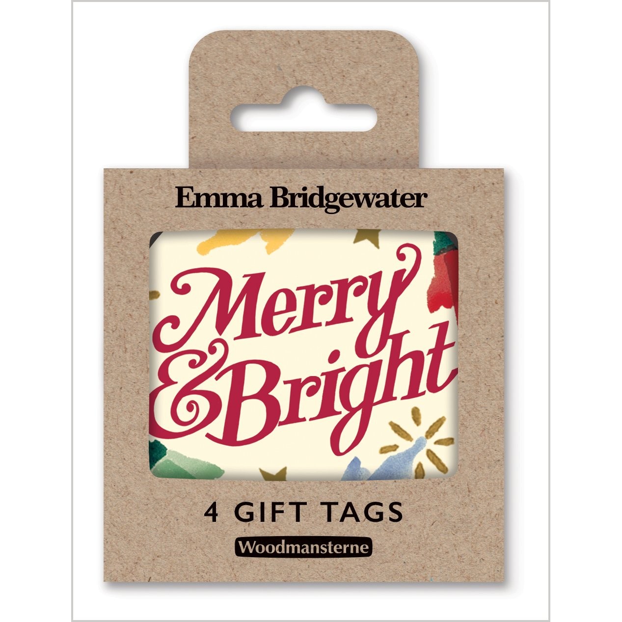 F4 FAIRY LIGHTS TAG MULTIPACK - Image 1
