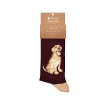 'GOOD AS GOLD' LABRADOR MEN'S SOCKS