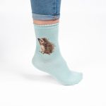 'HEDGEHUGS' HEDGEHOG SOCKS - Image 2