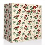 LITTLE ROBIN LARGE BAG