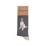 'WILLOW' SPANIEL MEN'S SOCKS