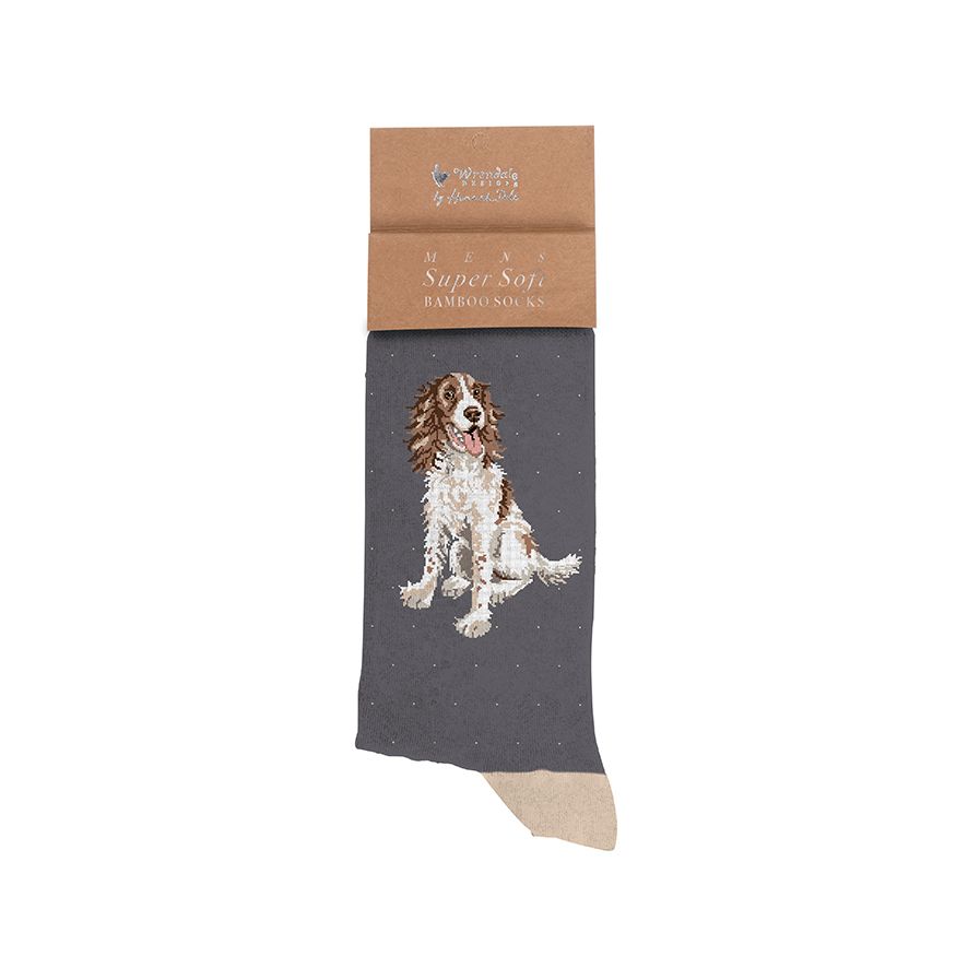 WIL1 'WILLOW' SPANIEL MEN'S SOCKS - Image 1