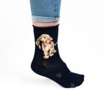'HOPEFUL' LABRADOR SOCKS - Image 2