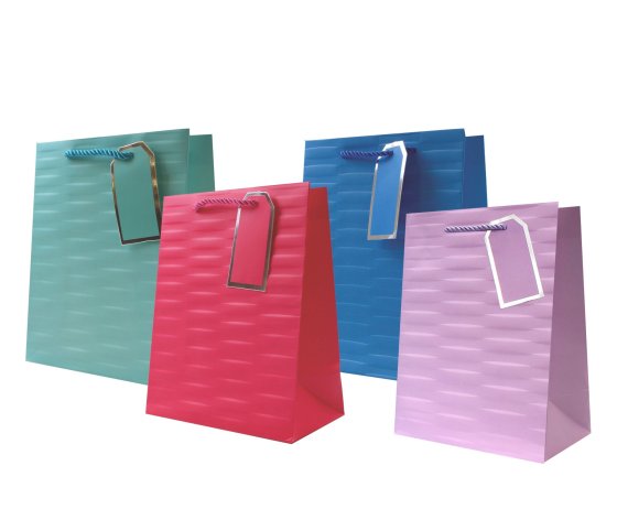 48 GIFT BAG EMBOSSED BRIGHTS MED - Image 1