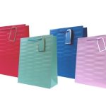 GIFT BAG EMBOSSED BRIGHTS LRG