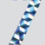 HOLOGRAPHIC NUMERALS NO. 7