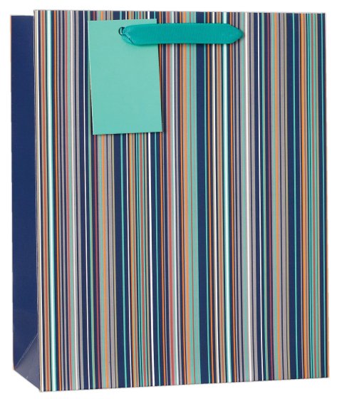 73 GIFT BAG DESIGNER STRIPE LRG - Image 1