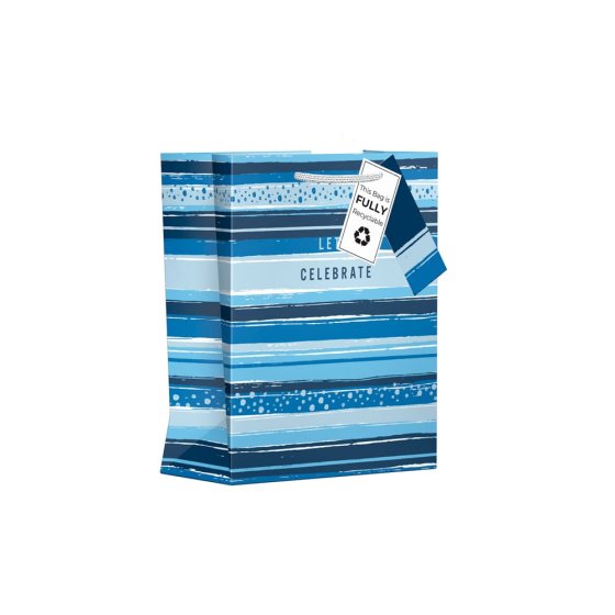 74 GIFT BAG CELEBRATE STRIPE MED - Image 1
