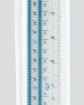30CM RULER
