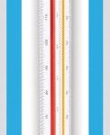 RULER TRI SCALE 30CM