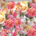 GIFT WRAP – ROSES (2 SHEETS + 2 TAGS)